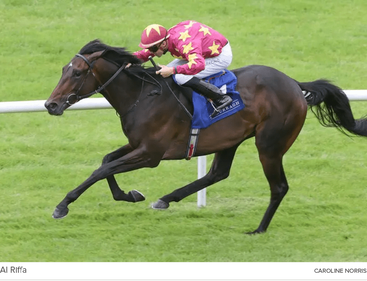 Al Riffa Caroline Norri