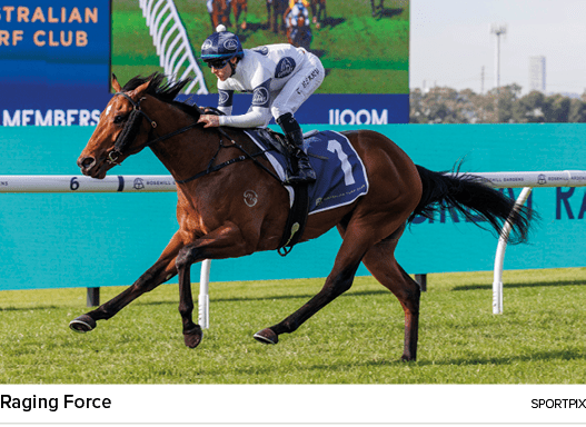 Raging Force sportpi