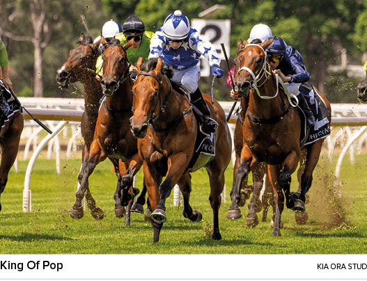 King Of Pop kia ora stu