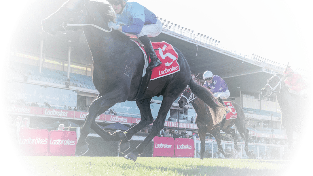 Space Rider ridden by Beau Mertens wins the Mick Gleeson Plate at Moonee Valley Racecourse on August 23, 2025 in Moonee Ponds, Australia. (Photo by George Sal/Racing Photos)