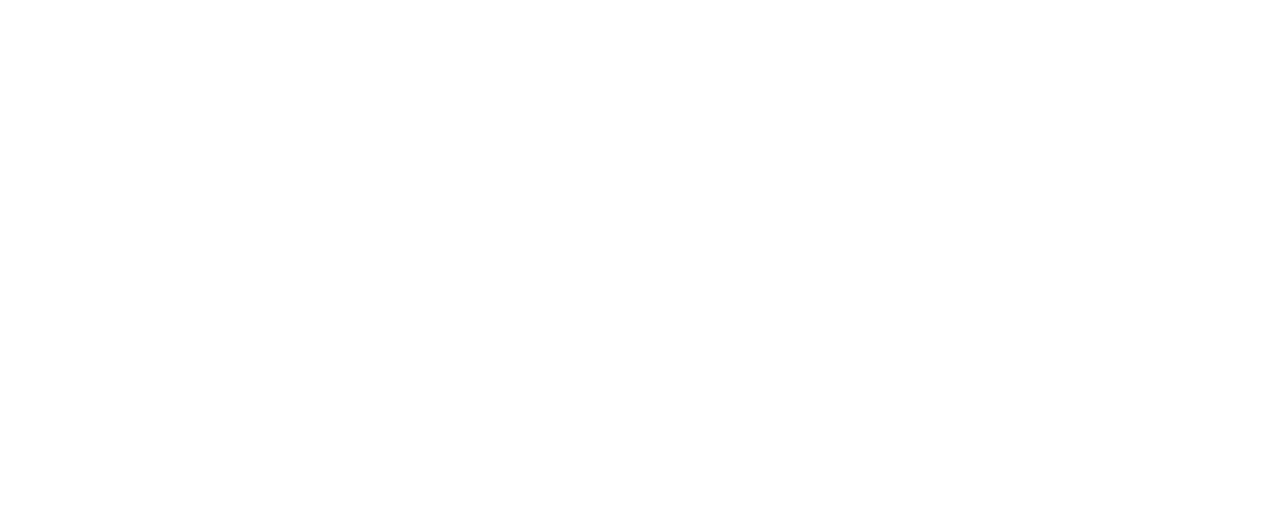 Space Rider