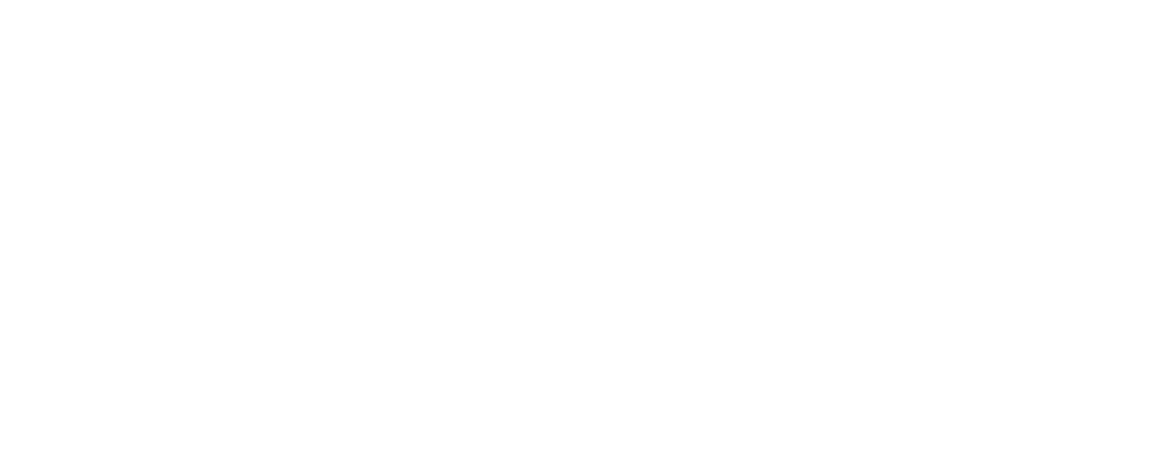 Space Rider