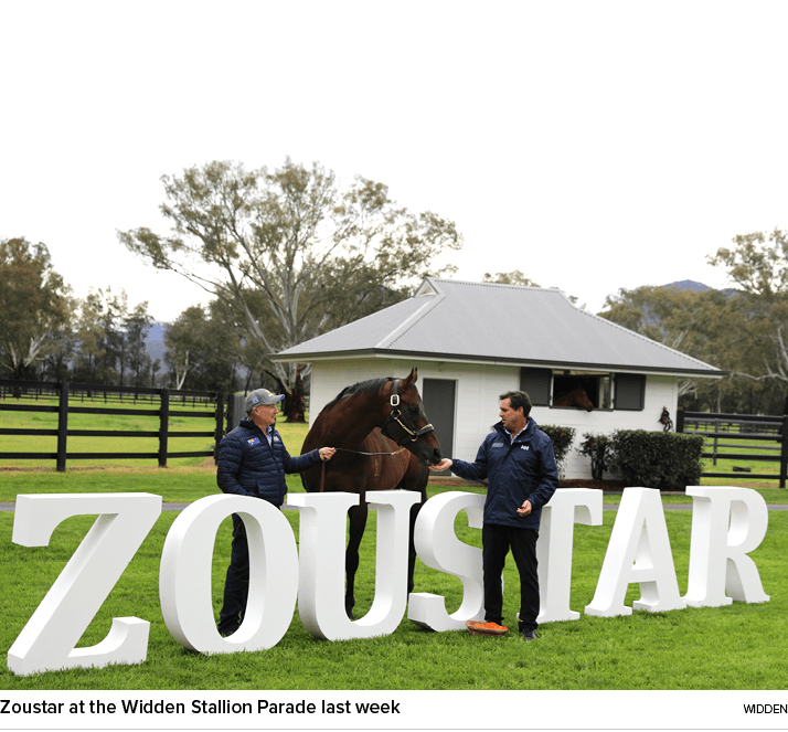 Zoustar at the Widden Stallion Parade last week widde