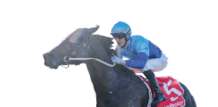 Space Rider ridden by Beau Mertens wins the Mick Gleeson Plate at Moonee Valley Racecourse on August 23, 2025 in Moonee Ponds, Australia. (Photo by George Sal/Racing Photos)