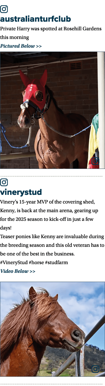 ￼ australianturfclub Private Harry was spotted at Rosehill Gardens this morning Pictured Below   ￼ ￼ vinerystud Vine...