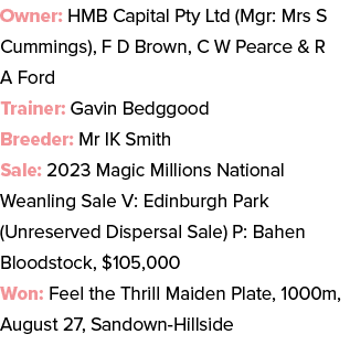 Owner: HMB Capital Pty Ltd (Mgr: Mrs S Cummings), F D Brown, C W Pearce & R A Ford Trainer: Gavin Bedggood Breeder: M...
