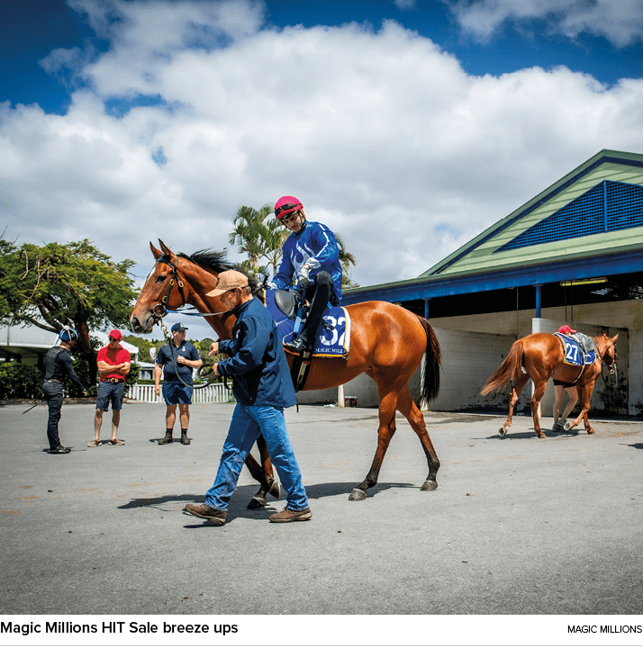 Magic Millions HIT Sale breeze ups Magic Millions