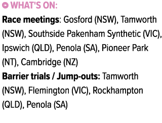 ￼ What's on: Race meetings: Gosford (NSW), Tamworth (NSW), Southside Pakenham Synthetic (VIC), Ipswich (QLD), Penola ...