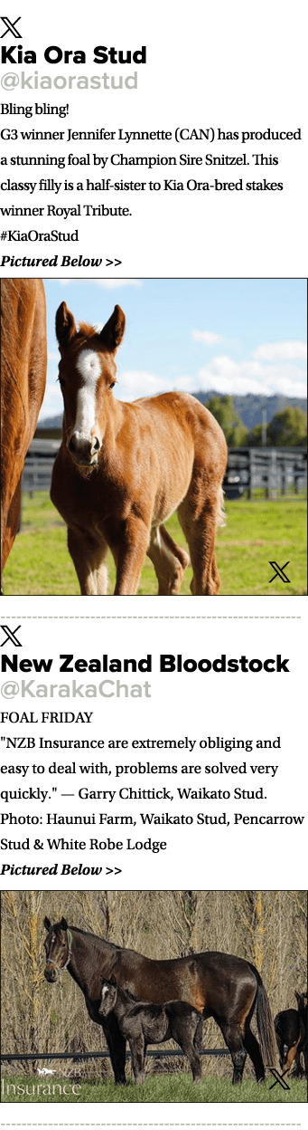 ￼ Kia Ora Stud @kiaorastud Bling bling! G3 winner Jennifer Lynnette (CAN) has produced a stunning foal by Champion Si...