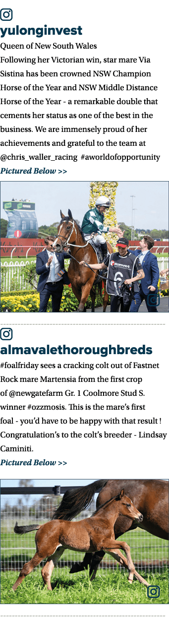 ￼ yulonginvest Queen of New South Wales Following her Victorian win, star mare Via Sistina has been crowned NSW Champ...