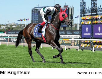 Mr Brightside racing photo