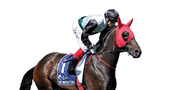 Mr Brightside (NZ) on the way to the barriers prior to the running of the The All-Star Mile at Flemington Racecourse on March 08, 2025 in Flemington, Australia. (Photo by George Sal/Racing Photos)