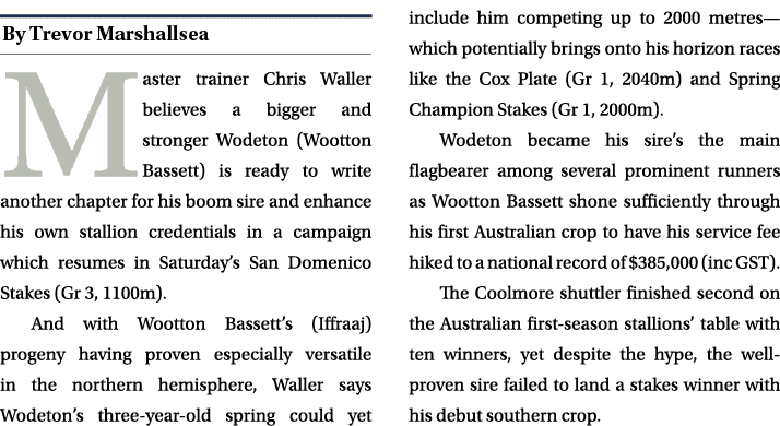 ￼ Master trainer Chris Waller believes a bigger and stronger Wodeton (Wootton Bassett) is ready to write another chap...