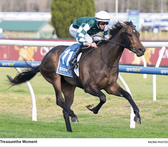 Treasurethe Moment racing photo