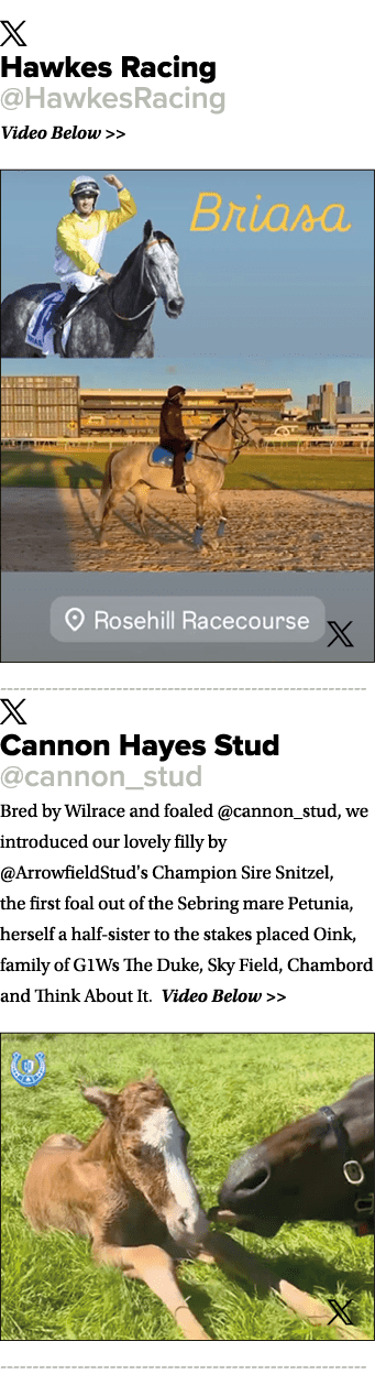 ￼ Hawkes Racing @HawkesRacing Video Below   ￼ ￼ Cannon Hayes Stud @cannon_stud Bred by Wilrace and foaled @cannon_st...