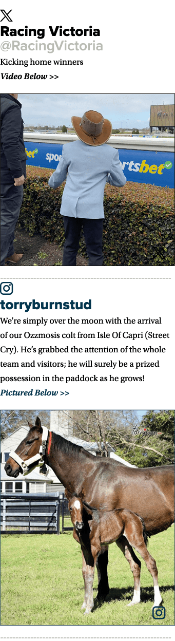 ￼ Racing Victoria @RacingVictoria Kicking home winners Video Below   ￼ ￼ torryburnstud We're simply over the moon wi...