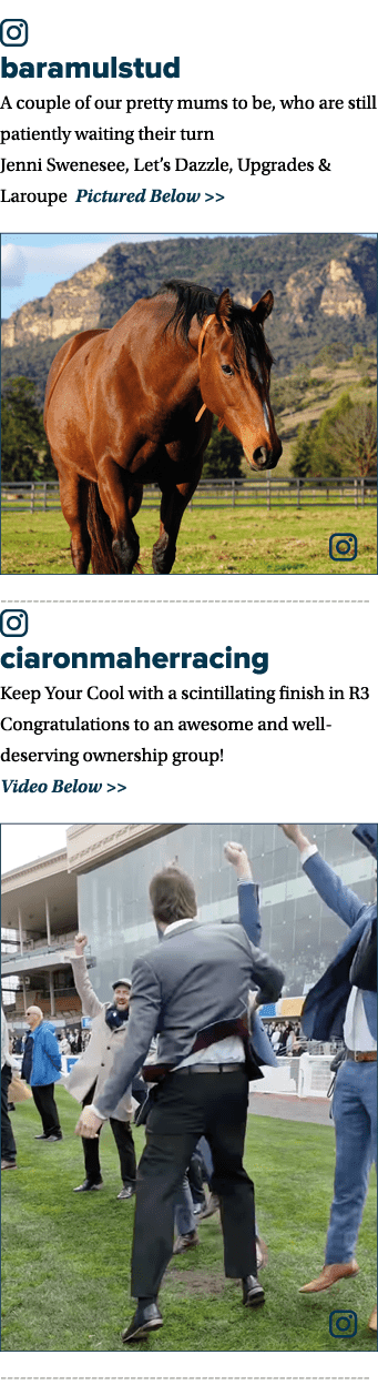 ￼ baramulstud A couple of our pretty mums to be, who are still patiently waiting their turn Jenni Swenesee, Let’s Daz...