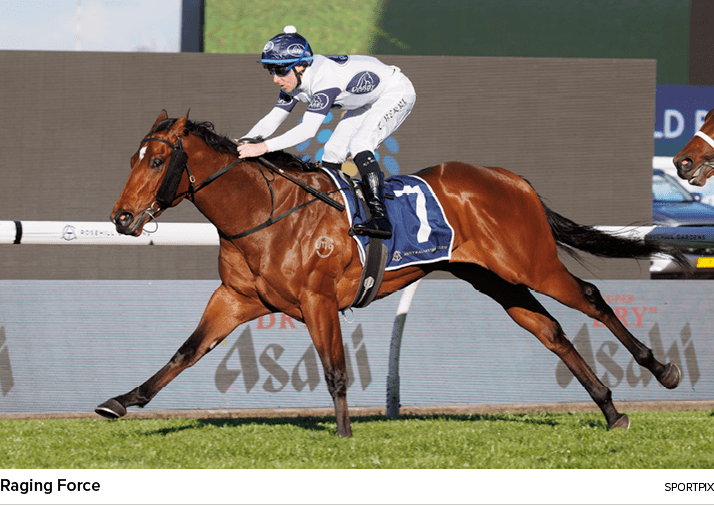 Raging Force sportpi