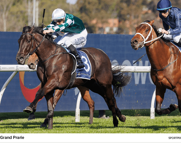 Grand Prarie sportpi