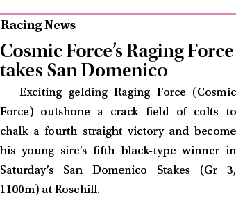 ￼ Cosmic Force’s Raging Force takes San Domenico Exciting gelding Raging Force (Cosmic Force) outshone a crack field ...