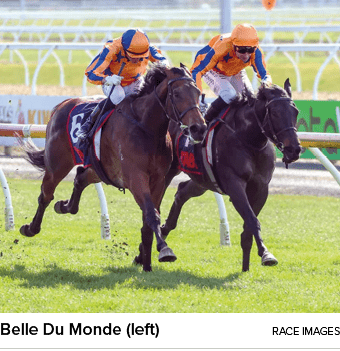 Belle Du Monde (left) Race Image