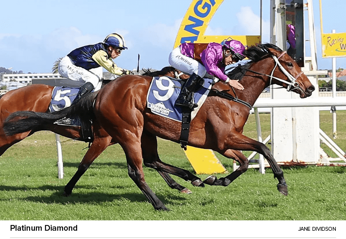 Platinum Diamond Jane Dividso