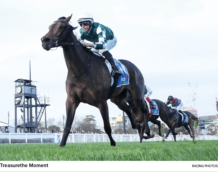 Treasurethe Moment racing photo