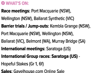 ￼ What's on: Race meetings: Port Macquarie (NSW), Wellington (NSW), Ballarat Synthetic (VIC) Barrier trials / Jump ou...