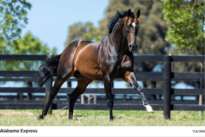 Alabama Express yulon