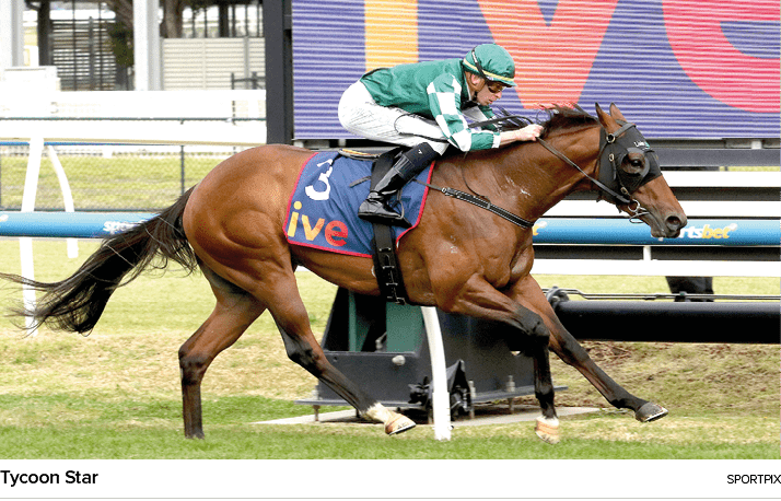 Tycoon Star sportpi