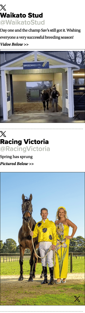 ￼ Waikato Stud @WaikatoStud Day one and the champ Sav’s still got it. Wishing everyone a very successful breeding sea...
