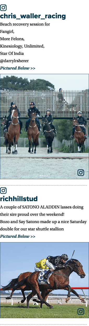 ￼ chris_waller_racing Beach recovery session for Fangirl, More Felons, Kinesiology, Unlimited, Star Of India @darrylr...