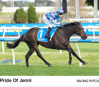 Pride Of Jenni racing phto