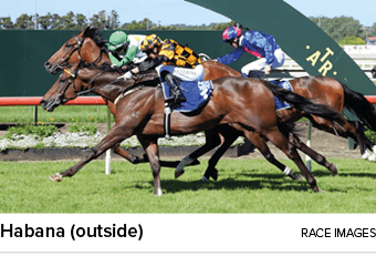 Habana (outside) Race Image