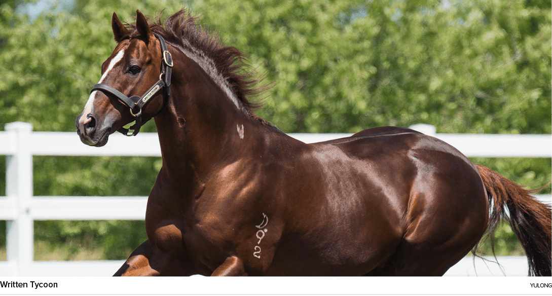 Written Tycoon yulon