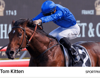 Tom Kitten sportpi