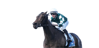 Treasurethe Moment ridden by Damian Lane wins the Stow Storage Memsie Stakes at Caulfield Racecourse on August 30, 2025 in Caulfield, Australia. (Photo by George Sal/Racing Photos)