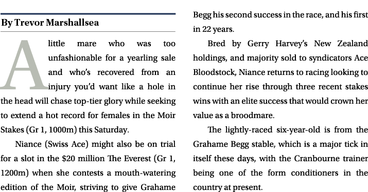 ￼ A little mare who was too unfashionable for a yearling sale and who’s recovered from an injury you’d want like a ho...