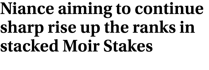 Niance aiming to continue sharp rise up the ranks in stacked Moir Stakes