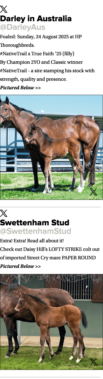 ￼ Darley in Australia @DarleyAus Foaled: Sunday, 24 August 2025 at HP Thoroughbreds. #NativeTrail x True Faith ’25 (f...