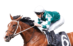 Via Sistina (James McDonald, white cap) trained by Chris Waller wins the Ranvet Stakes (Group 1 )at Rosehill on March 23, 2024 - photo by Martin King/Sportpix copyright