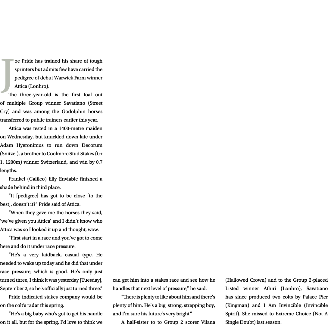 Joe Pride has trained his share of tough sprinters but admits few have carried the pedigree of debut Warwick Farm win...