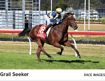 Grail Seeker race image