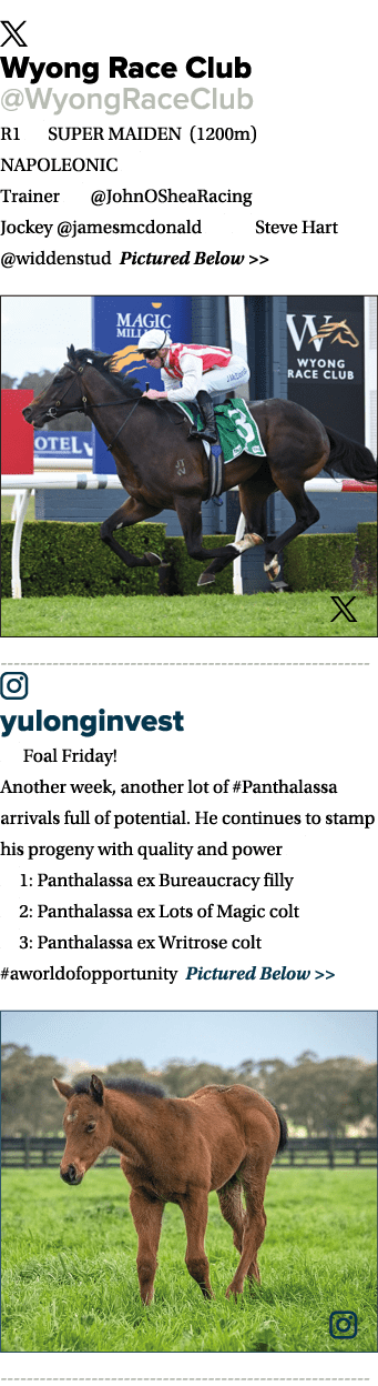 ￼ Wyong Race Club @WyongRaceClub R1 👉 SUPER MAIDEN (1200m) NAPOLEONIC 🏇 Trainer 👉 @JohnOSheaRacing Jockey @jamesmc...