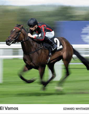 El Vamos Edward Whitake