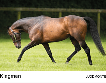 Kingman juddmont