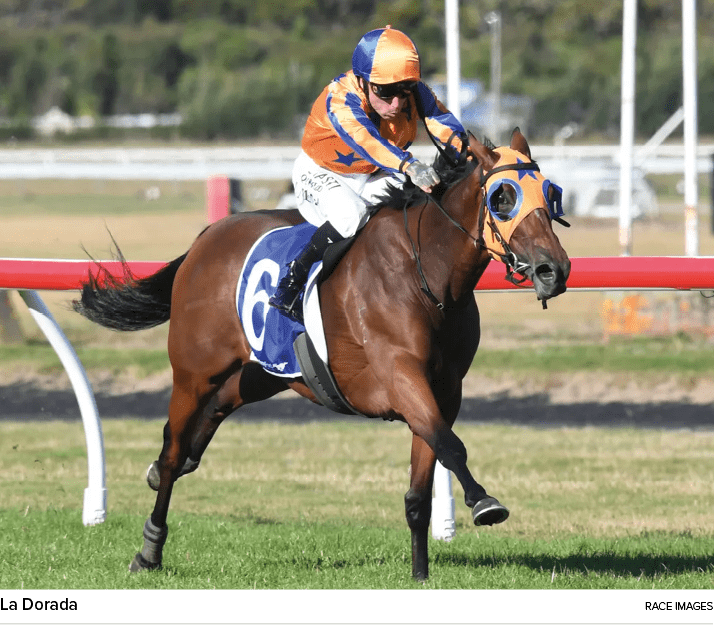 La Dorada Race Image