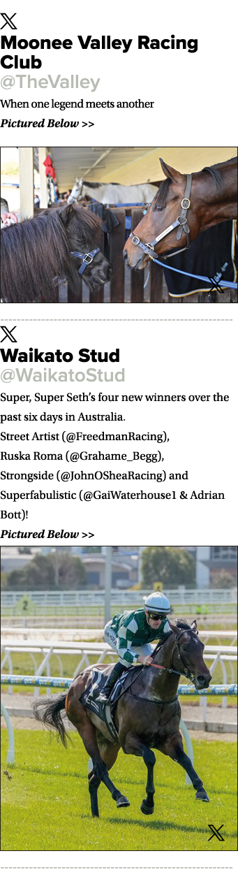 ￼ Moonee Valley Racing Club @TheValley When one legend meets another Pictured Below   ￼ ￼ Waikato Stud @WaikatoStud ...