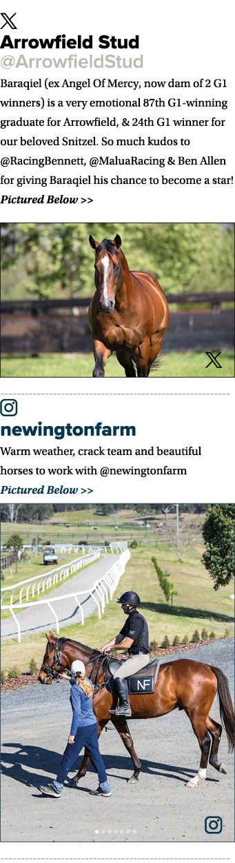 ￼ Arrowfield Stud @ArrowfieldStud Baraqiel (ex Angel Of Mercy, now dam of 2 G1 winners) is a very emotional 87th G1 w...