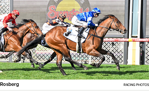 Rosberg racing photo